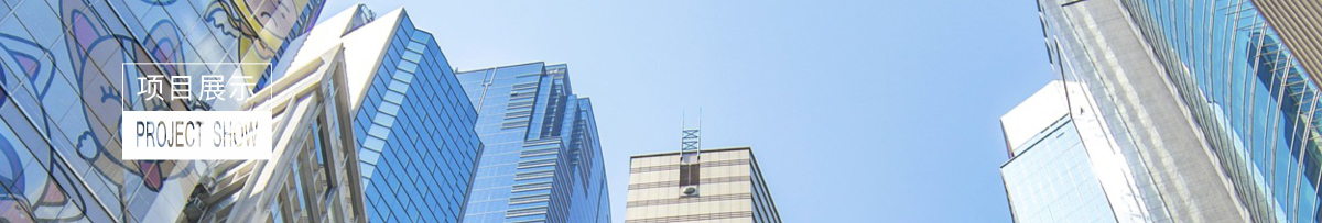 项目展示
