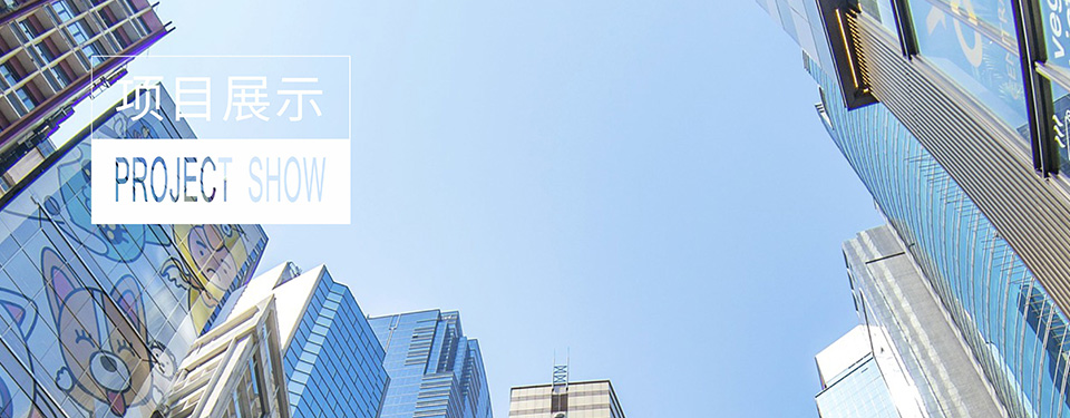 项目展示
